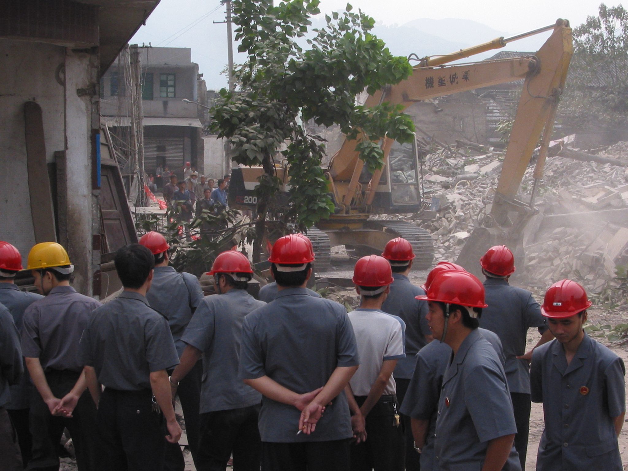 Before The Flood 淹没 Mulan International Film Festival