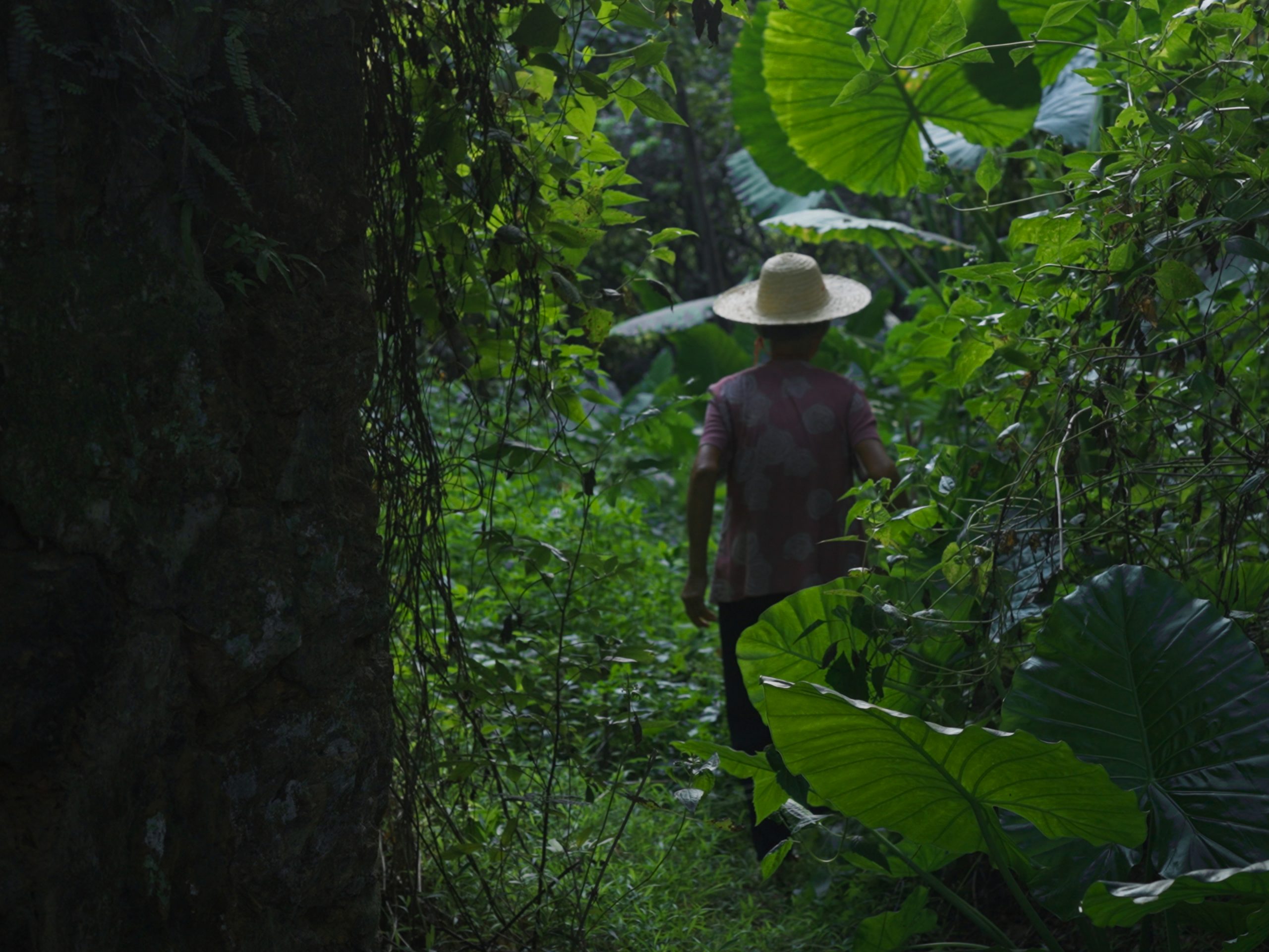 May the Lord Protect Us Film Still