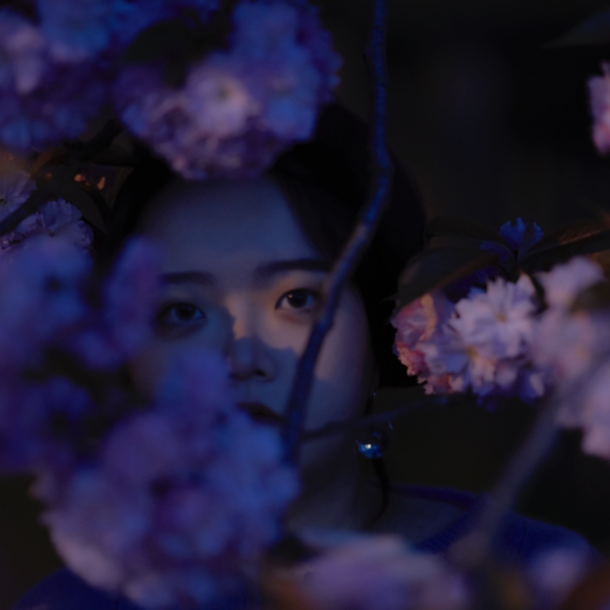 Page ZHANG
